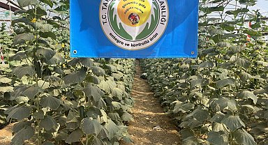 İlaç kalıntısız meyve ve sebze üretimine 'mavi bayrak'