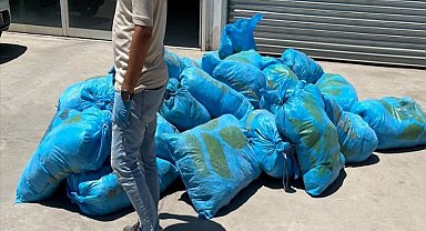 İş yerinde 296 kilo skunk ele geçirildi; 1 gözaltı