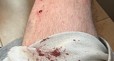 İstanbul - Almanya'dan gelen gurbetçi aile molada otomobilde uyurken gasbedildi