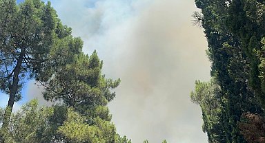 İstanbul - Aydos Ormanı'nda yangın - 2