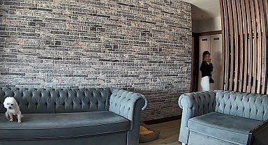 İstanbul- Bahçeşehir'de eve hırsız girdi; şüphelileri izleyen köpek gülümsetti