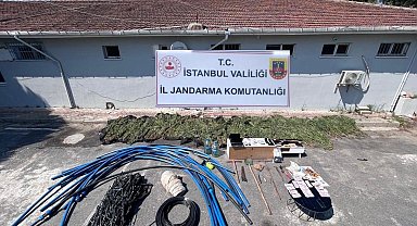 İstanbul-Çatalca'da ormanlık alanda kenevir yetiştirenlere operasyon: 6 gözaltı
