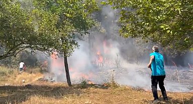 İstanbul-Maltepe'de orman yangını