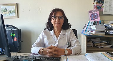 İstanbul - Prof. Dr. Yavuz'dan sivrisineklerden bulaşan virüs uyarısı