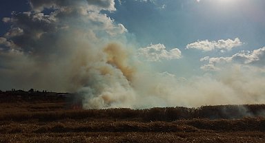 İstanbul- Silivri'de buğday tarlası alevlere teslim oldu