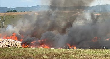 İstanbul - Tuzla'da otluk alan alev alev yandı