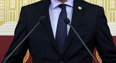 İYİ Parti'den TBMM'ye 'Bozkurt' teklifi