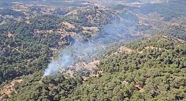 İzmir'de orman yangını 3 saatte kontrol altına alındı