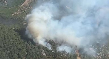 İzmir'de orman yangını; Bergama'da da çıktı