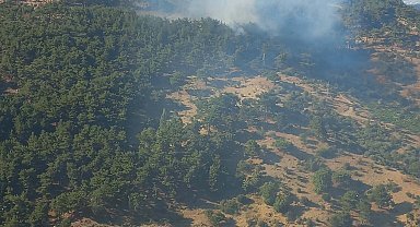 İzmir'de orman yangını