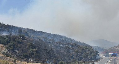 İzmir'de orman yangını