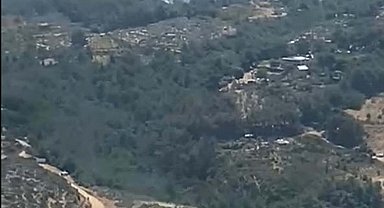 İzmir'de orman yangını