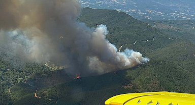 İzmir'de orman yangını