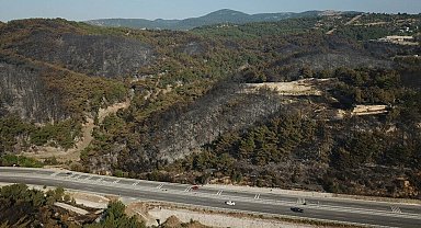 İzmir'deki orman yangınında 2'nci gün