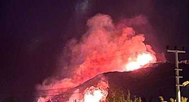 İzmir'in Urla ilçesinde orman yangını