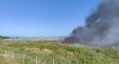 İznik Gölü kıyısında sazlık yangını