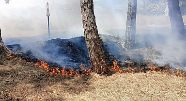 İznik Gölü sahilindeki piknik alanında yangın