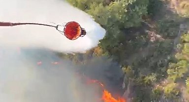 İznik'te orman yangını