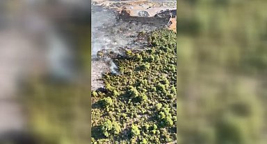 İznik'te orman yangını