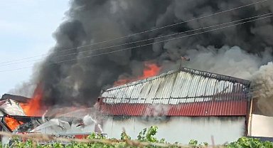 İznik'te soğuk hava deposunda yangın