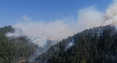 Kahramanmaraş'ta orman yangını; Fırnız'daki yangın devam ediyor, Kapıçam'daki kontrol altında