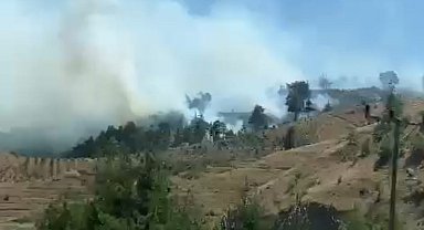 KAHRAMANMARAŞ'ta orman yangını