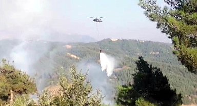 Kahramanmaraş'ta orman yangını