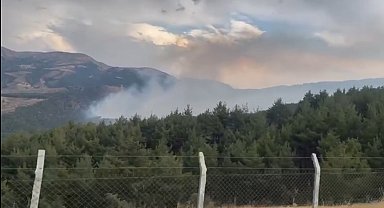 Kahramanmaraş'ta orman yangını