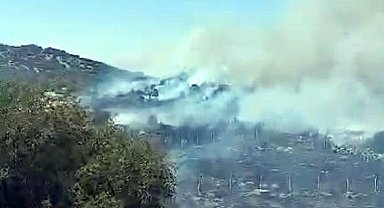 Kahramanmaraş'ta orman yangını