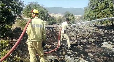 Kahramanmaraş'ta orman yangını