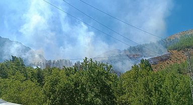 Kahramanmaraş'ta orman yangını