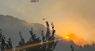 Kahramanmaraş'taki orman yangını, 18 saatte kontrol altına alındı