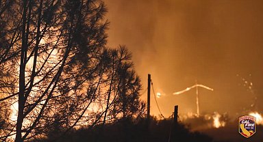 Kaliforniya'da orman yangını: Eyaletteki en büyük 7'nci yangın oldu