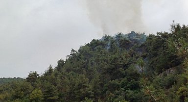 Karabük'te yıldırım düşen ormanda örtü yangını çıktı