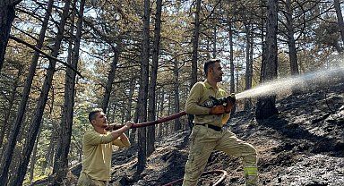 Karabük'teki orman yangınında 12 hektar zarar gördü