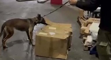 Kargo paketindeki 15 kilo esrara 1 tutuklama