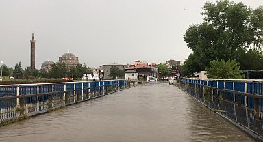 Kars'ta fırtına ve sağanak; Yollar göle döndü, ağaç devrildi, kopan elektrik kablosunun temas ettiği 2 inek öldü