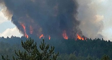 Kastamonu'da orman yangını