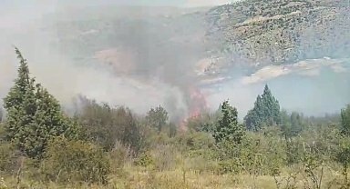 Kayseri'de örtü yangını 2 saatte söndürüldü