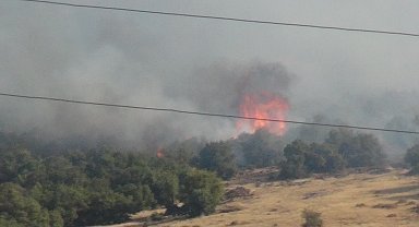 Kilis'te çıkan yangın kontrol altında
