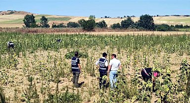 Kırklareli'de 2 milyon 161 bin kök Hint keneviri ele geçirildi