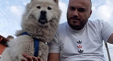Köpeğinin zehirlenerek öldürüldüğü iddiasıyla şikayetçi oldu