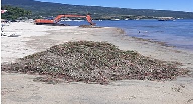 Koruma altındaki deniz çayırlarını söken kepçe operatörüne 13 bin TL ceza
