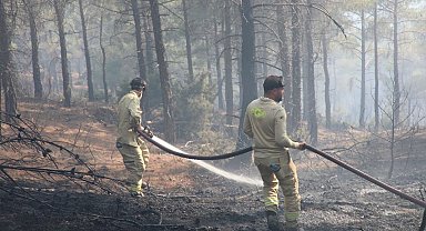 Kütahya'da orman yangını