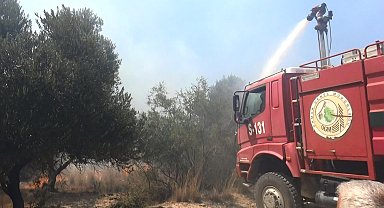 Manavgat'ta çöplükte başlayan yangın, tarım arazilerine zarar verdi
