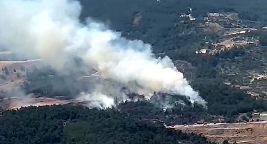 Manisa'da orman yangını