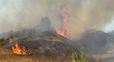 Manisa'da orman yangını
