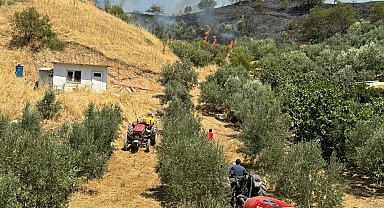 Manisa'da orman yangını
