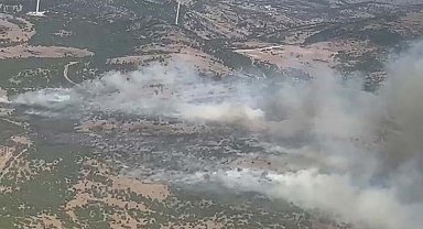 Manisa'da orman yangını