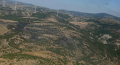 Manisa'da orman yangını